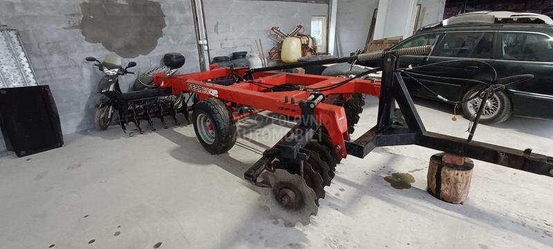 Vogel Noot Regent pluto  ferokop30