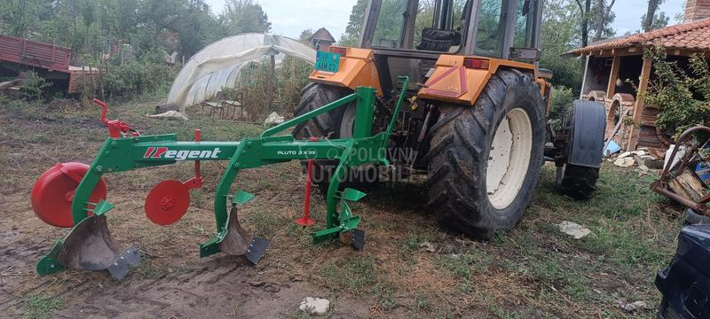 Vogel Noot Regent pluto  ferokop30