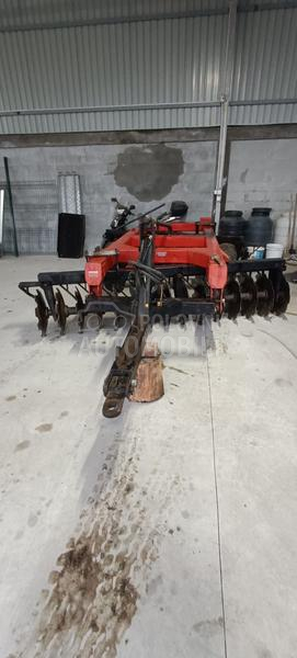 Vogel Noot Regent pluto  ferokop30