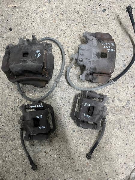 Kljesta prednja i zadnja