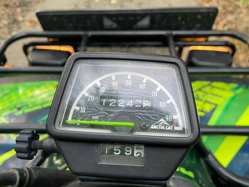 Arctic Cat elt 450