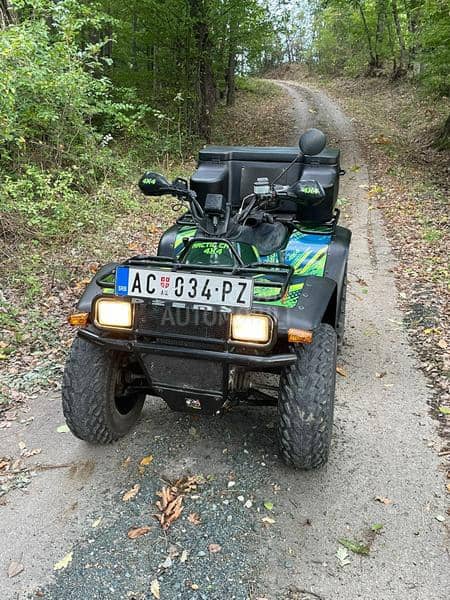 Arctic Cat elt 450