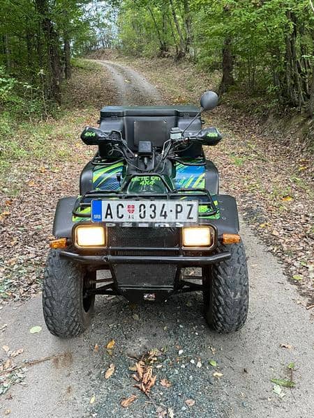 Arctic Cat elt 450