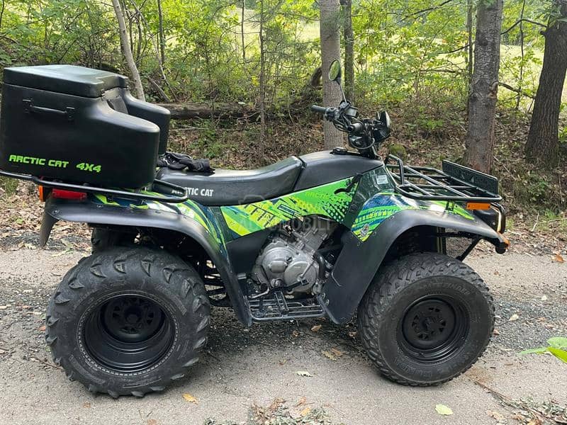 Arctic Cat elt 450