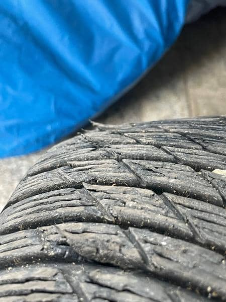 Michelin 265/55 R19 Zimska