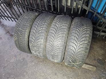 Nexen 215/60 R16 Sve sezone