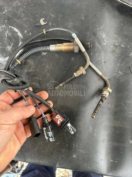 Sonde