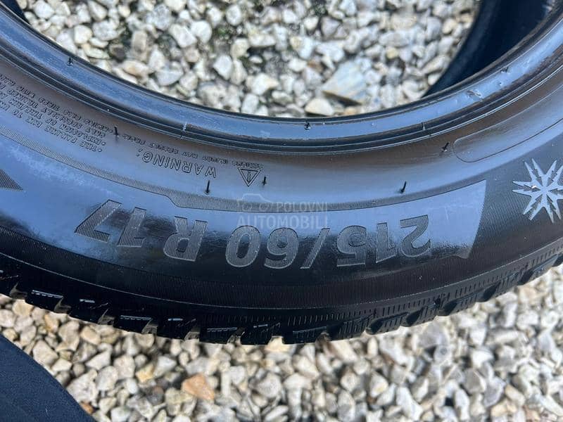 Michelin 215/60 R17 Zimska