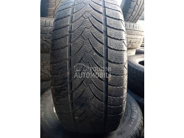 Platin Germany 225/55 R16 Zimska