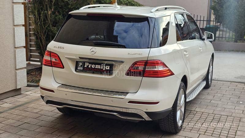 Mercedes Benz ML 250 BLUETEC 4 MATIC