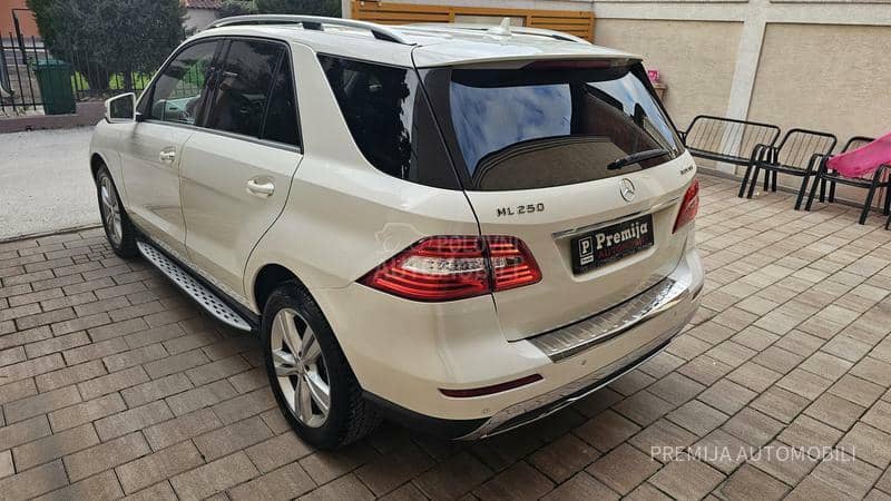 Mercedes Benz ML 250 BLUETEC 4 MATIC