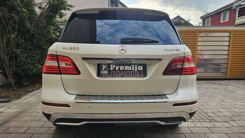 Mercedes Benz ML 250 BLUETEC 4 MATIC