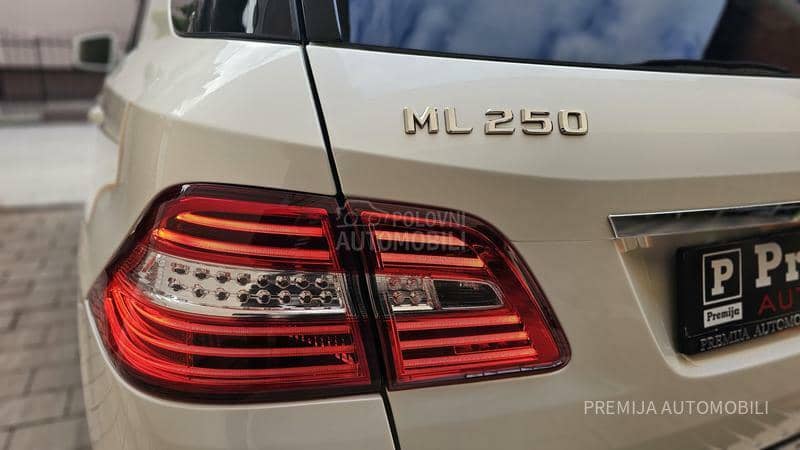 Mercedes Benz ML 250 BLUETEC 4 MATIC