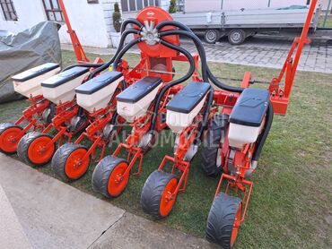 Nodet Pneumassem Pneummasem 2 i planter