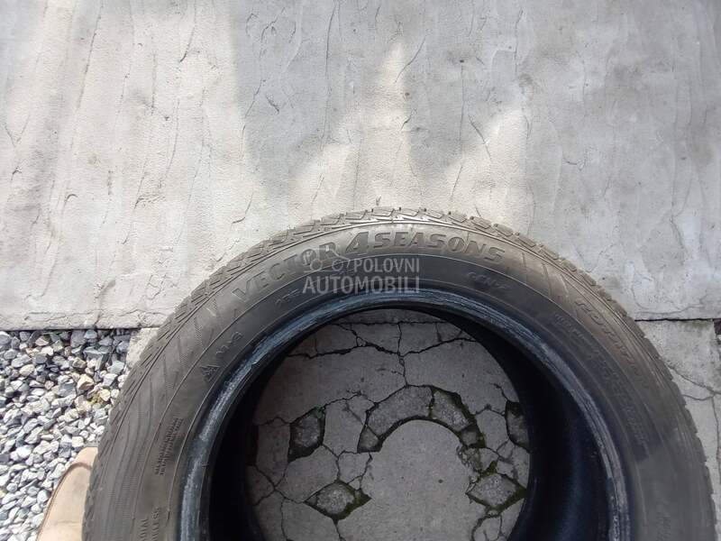 Goodyear 185/60 R15 Zimska