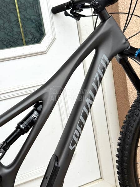 Specialized Stumpjumper 29