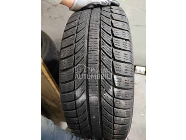 Champiro 205/55 R16 Zimska