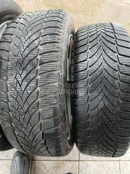 Goodyear 225/55 R17 Sve sezone