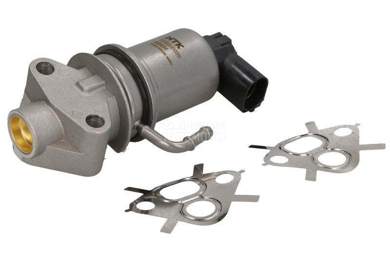 EGR Ventil