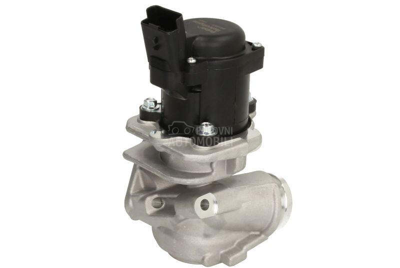 EGR Ventil DELPHI