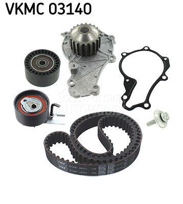 Veliki servis sa pumpom SKF
