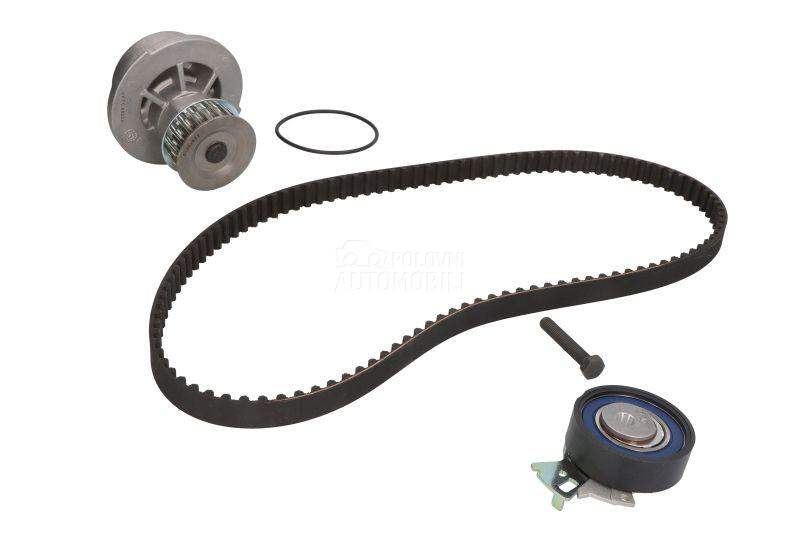 Veliki servis sa pumpom SKF