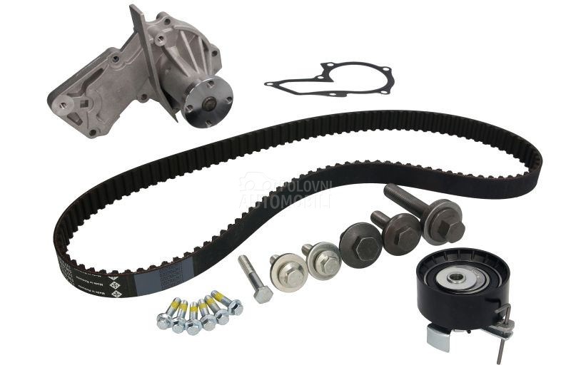 Veliki servis sa pumpom INA