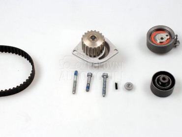 Veliki Servis sa Pumpom HEPU za Renault C-ELYSEE od 2012. do 2018. god.