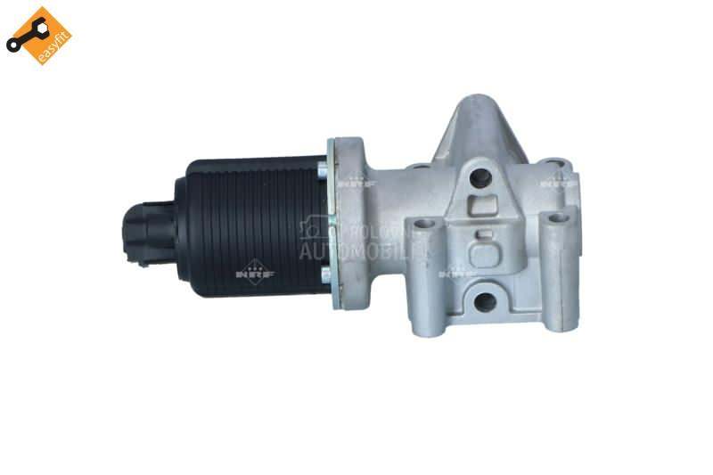 EGR Ventil
