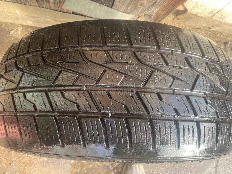 Delinte 225/50 R17 Zimska