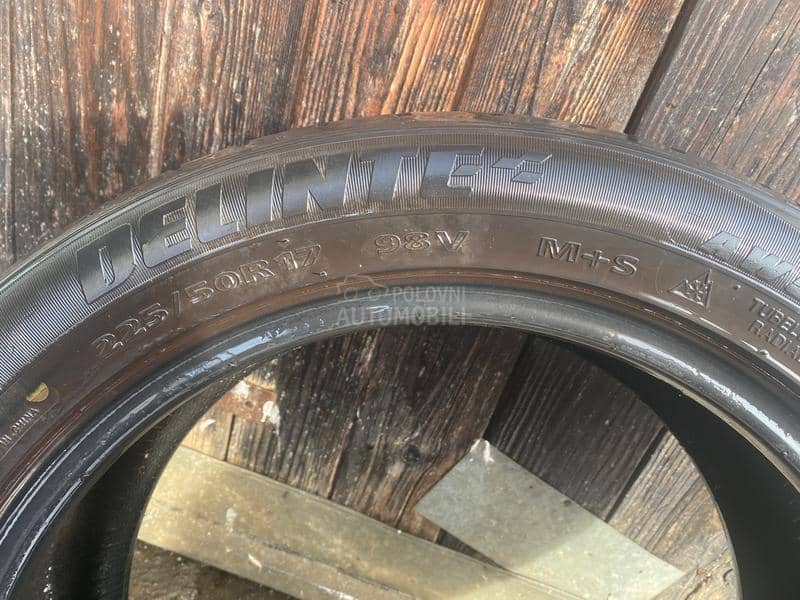 Delinte 225/50 R17 Zimska