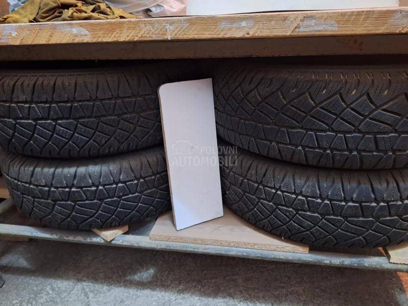 Michelin 225/65 R17 Sve sezone