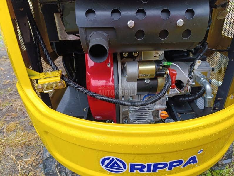 RIPPA R319