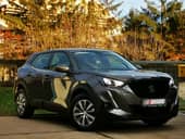 Peugeot 2008 1.2PureTech Business