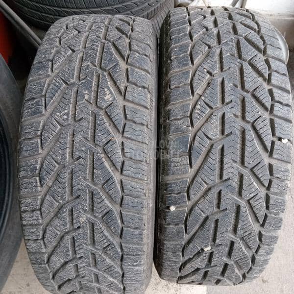 Riken 195/55 R15 Zimska