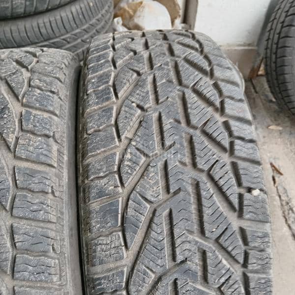 Riken 195/55 R15 Zimska