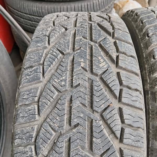 Riken 195/55 R15 Zimska