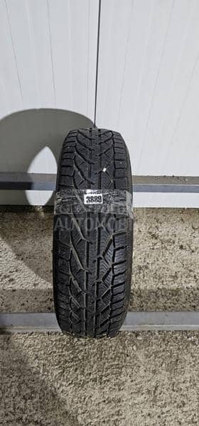 Riken 175/65 R15 Zimska