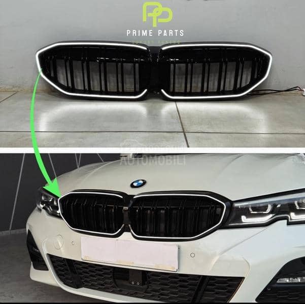 Led Grill Bubrezi G20