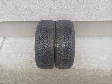 Apollo 205/55 R16 Zimska