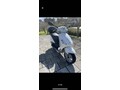 Piaggio FLY 50 2T