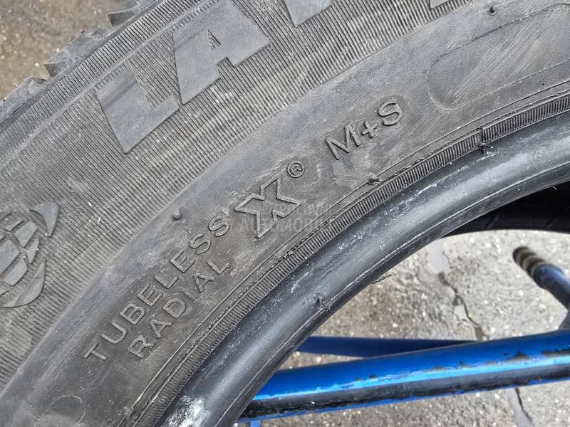 Michelin 235/55 R17 Sve sezone