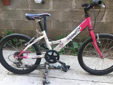 Alpina Aspen 200 Belo Roze