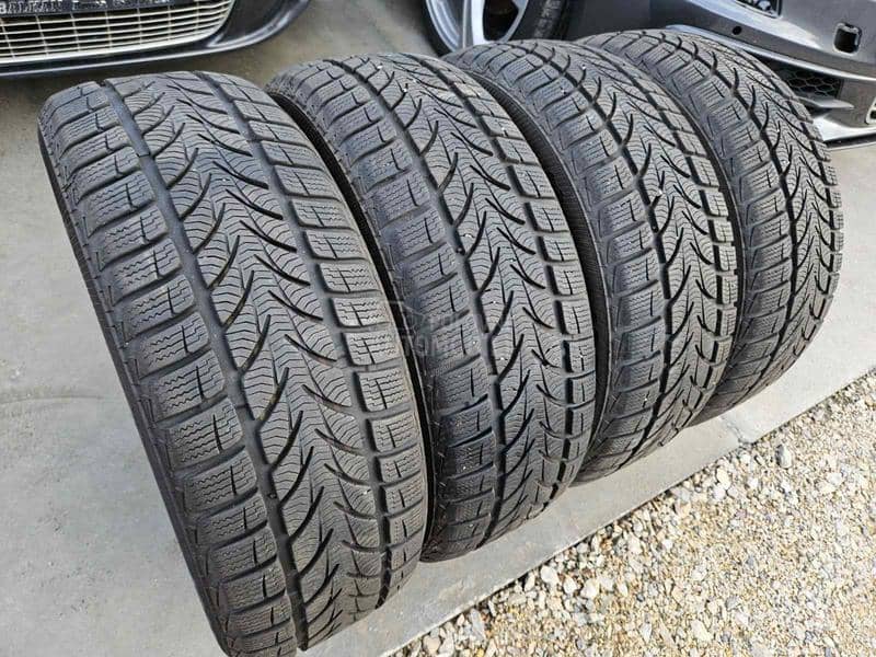 Platin Germany 195/55 R16 Sve sezone