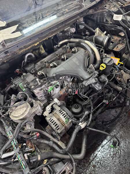 crevo antifriza 2.0 tdci