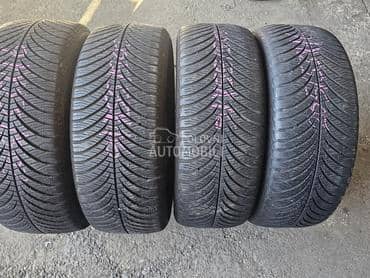 Goodyear 205/55 R16 Sve sezone