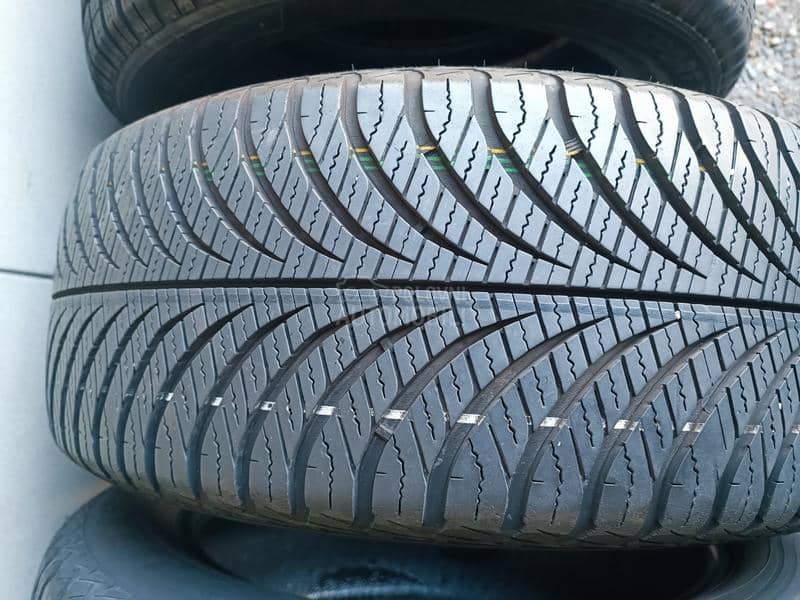 Goodyear 215/55 R17 Sve sezone