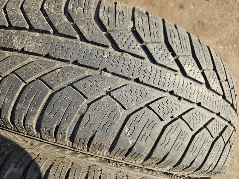Semperit 195/65 R15 Sve sezone