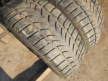 Platin Germany 205/55 R16 Sve sezone