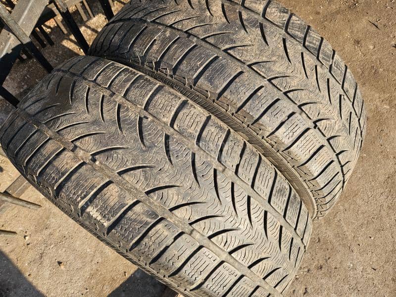 Platin Germany 205/55 R16 Sve sezone